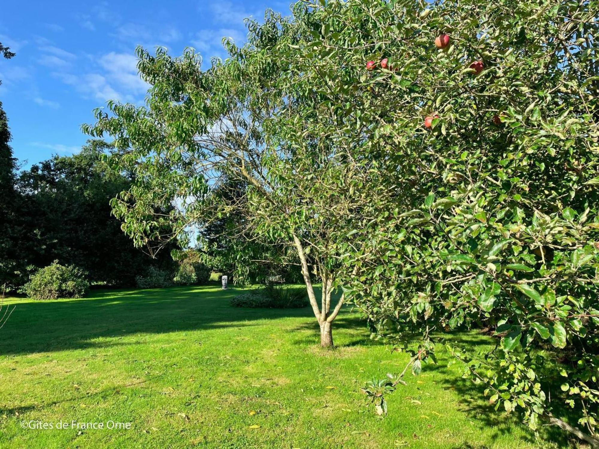 Maison De Campagne Avec Spa, Proche De Vergers Et Cite Medievale, Animaux Acceptes, Recharge Electrique - Fr-1-497-101 L'Epinay-le-Comte Exterior foto